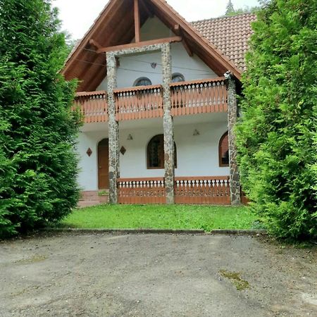 Vila Luca'S Cîrţişoara Exteriér fotografie