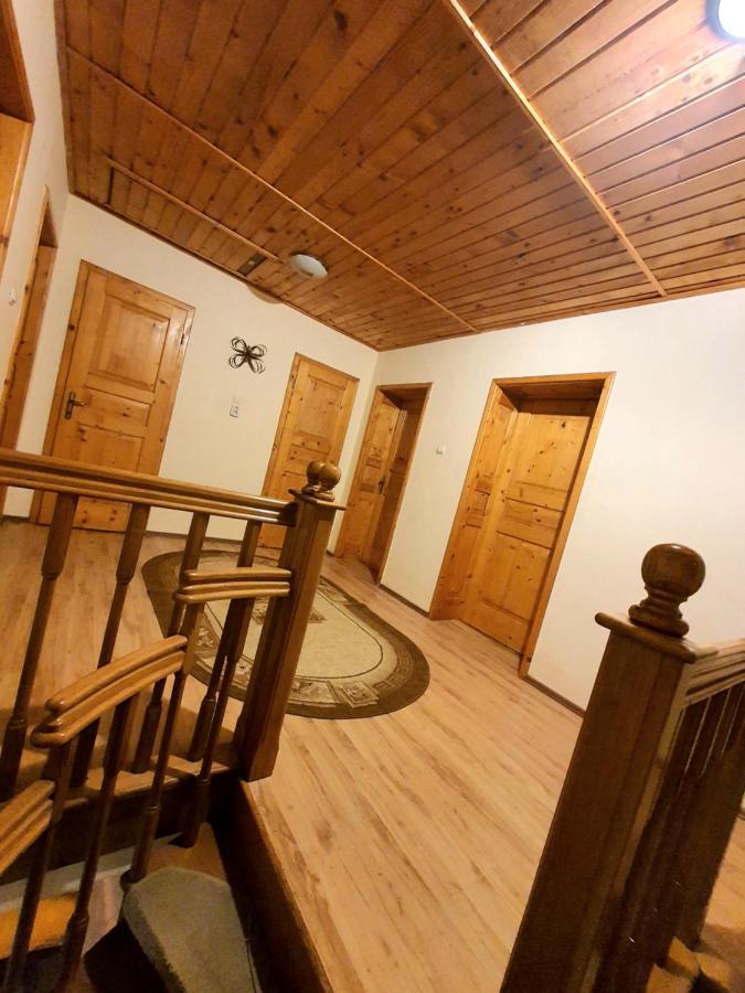 Vila Luca'S Cîrţişoara Exteriér fotografie