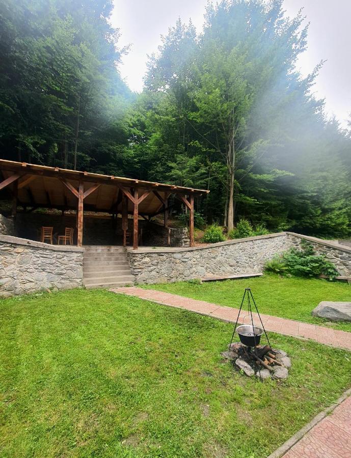Vila Luca'S Cîrţişoara Exteriér fotografie