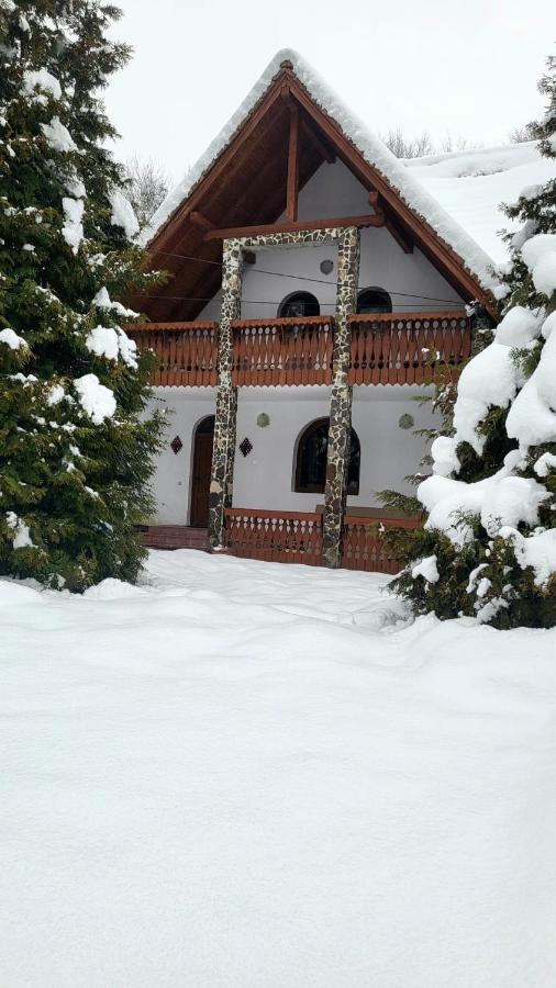 Vila Luca'S Cîrţişoara Exteriér fotografie